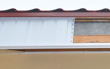 Plasiolyn fascia repair costs