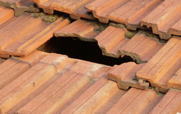 roof repair Plasiolyn, Powys